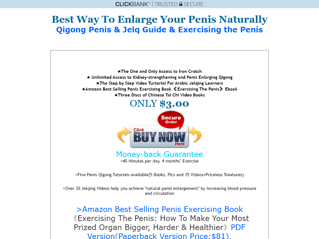 Rockdick Ebooks Review