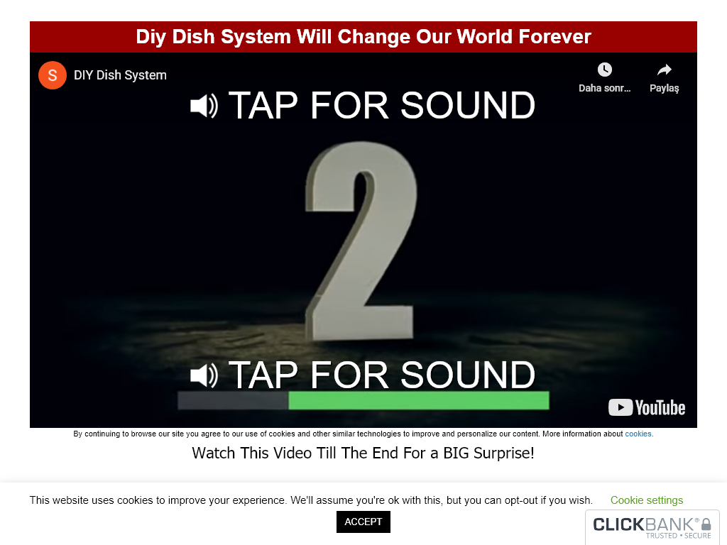 DIY Dish System Review