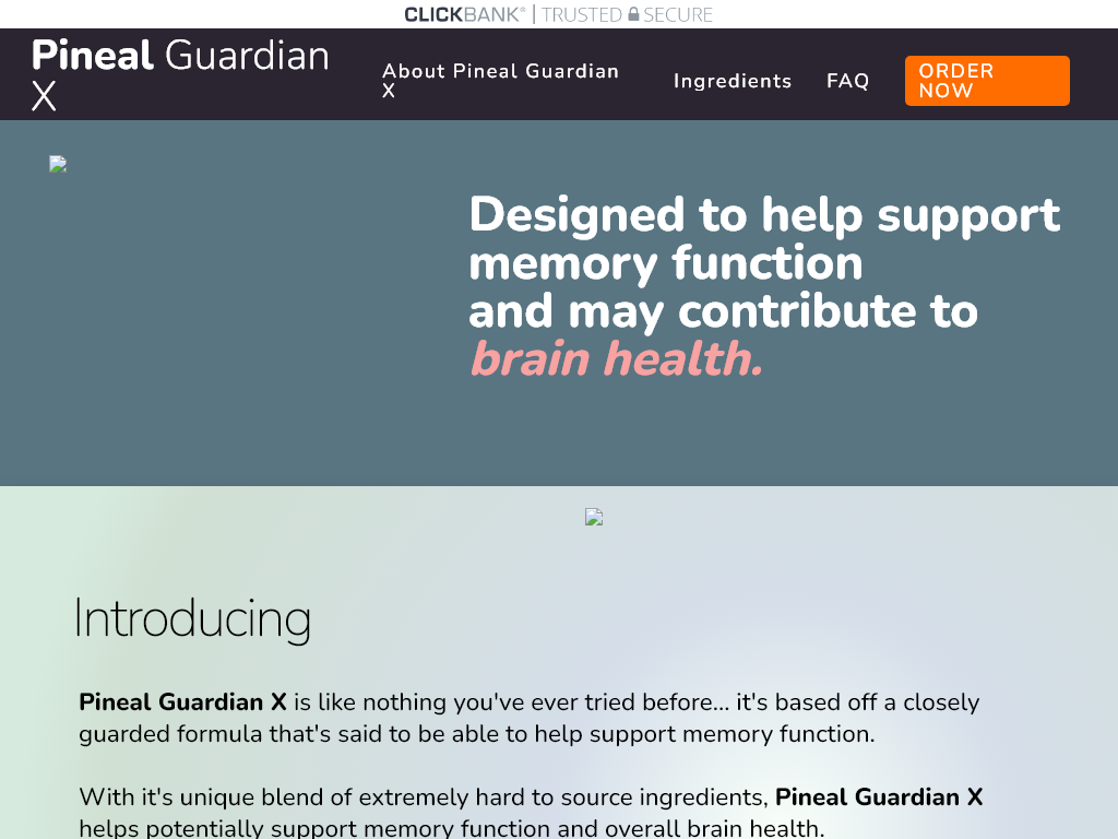 Pineal Guardian X Review