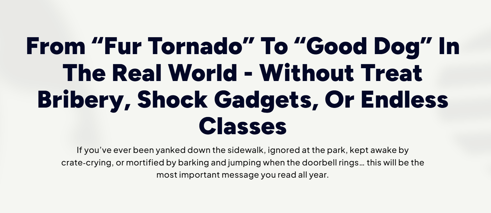 How to Raise a Good Dog Guide Review