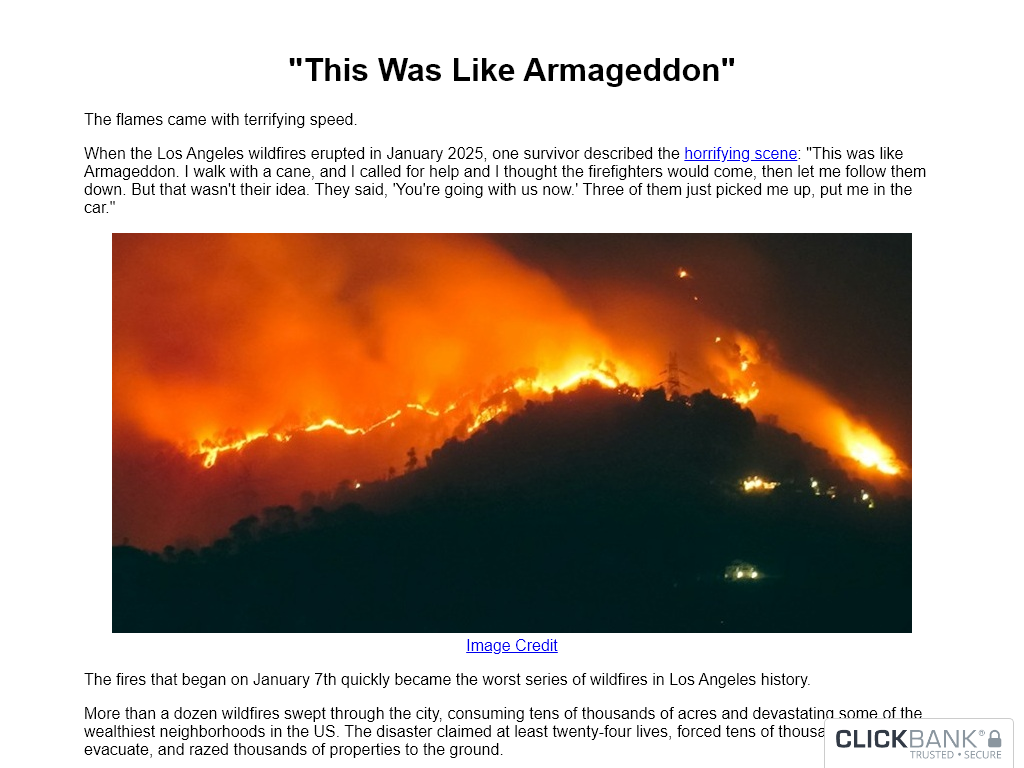 5 Minute Survival Blueprint Review