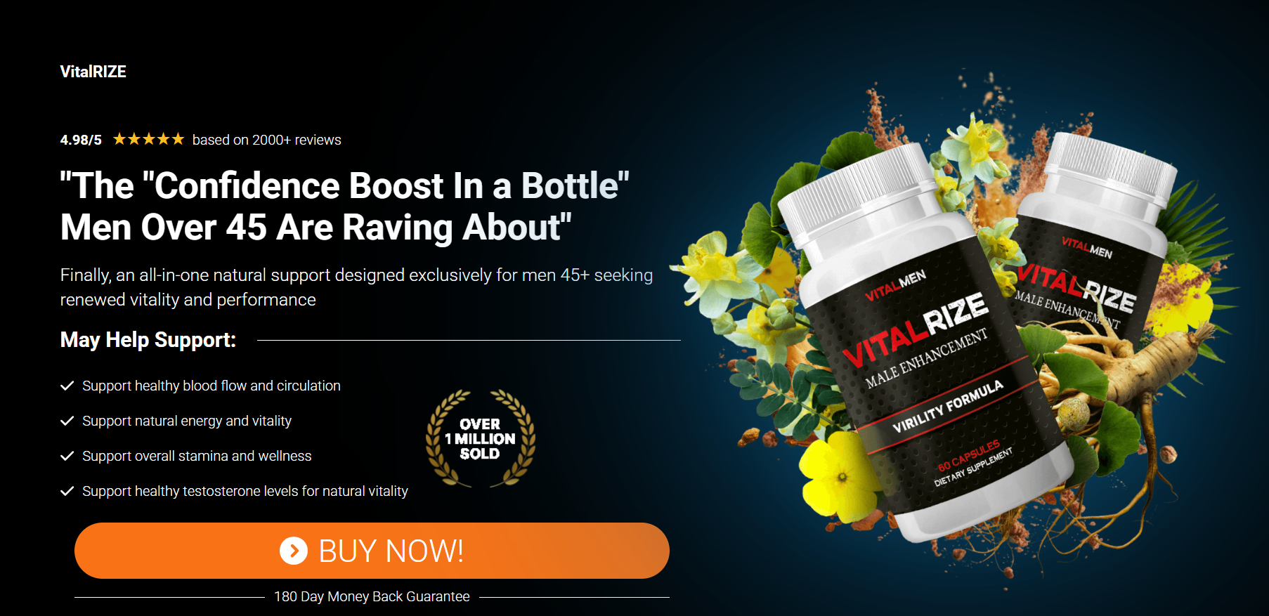 VitalRize Review